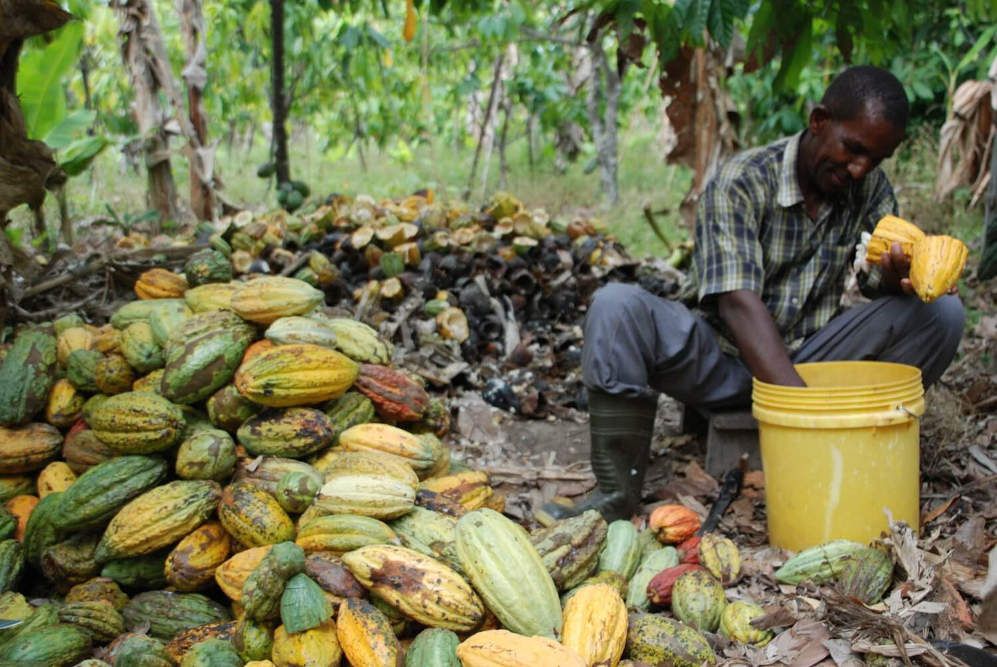 Tanzania - Kokoa Kamili 72% Dark