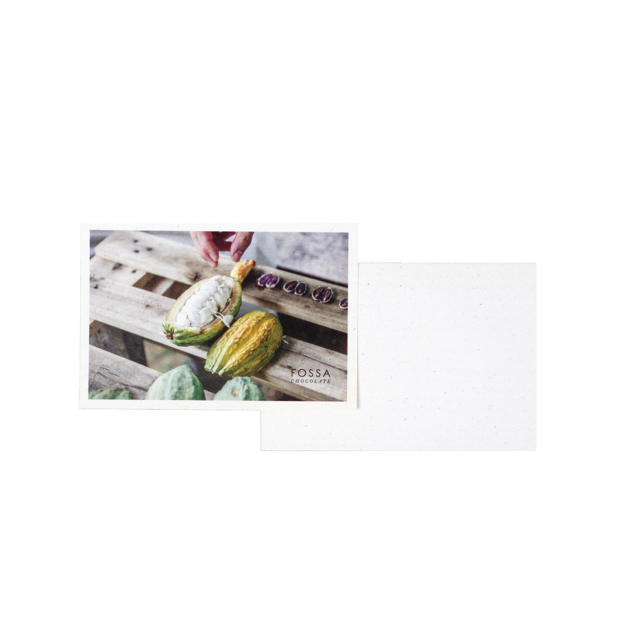 Greeting Card