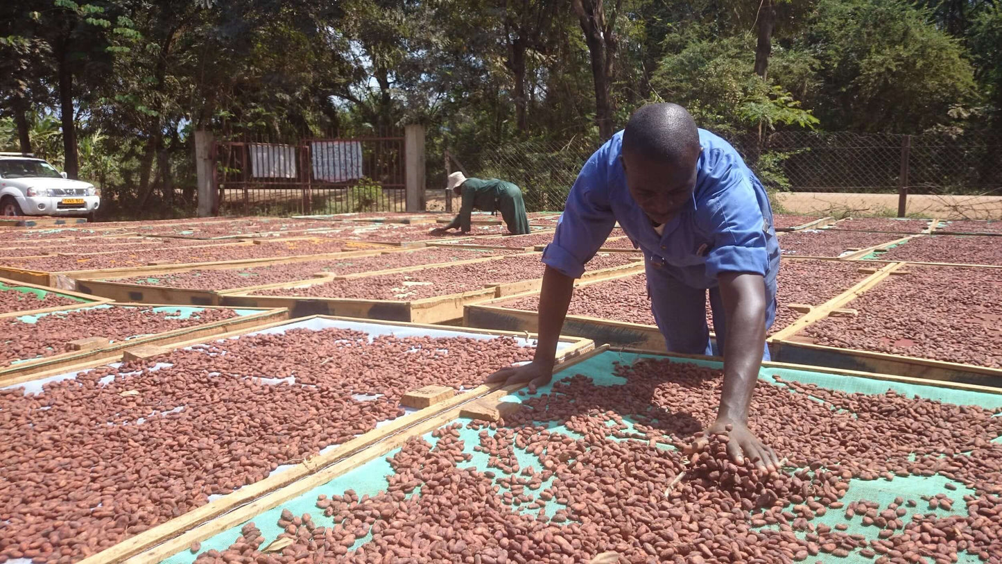 Tanzania - Kokoa Kamili 72% Dark